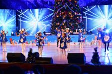 Новогодний карнавал в Баку (ФОТО)