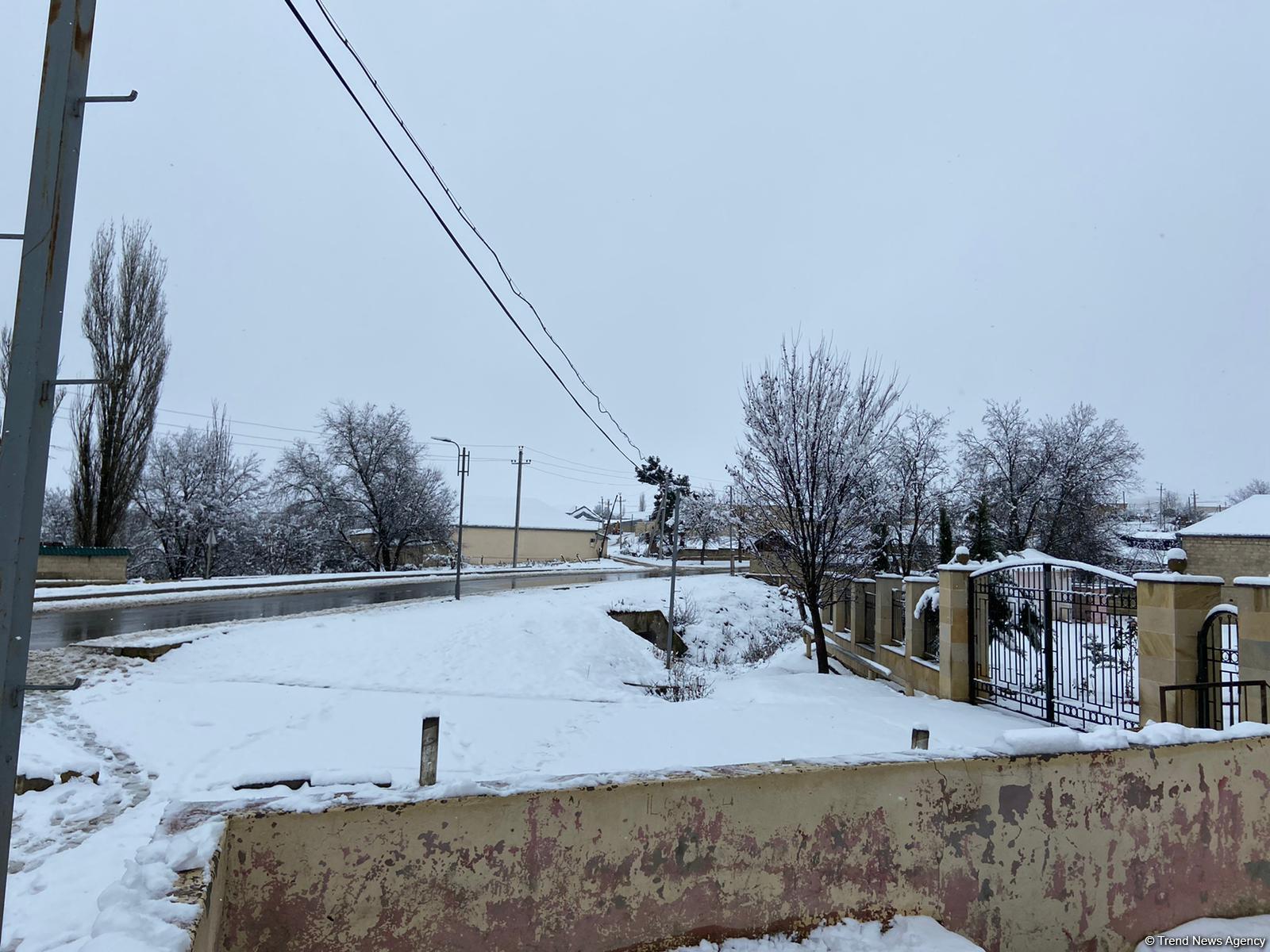 В регионах Азербайджана впервые в 2020-м году выпал снег (ФOTO)