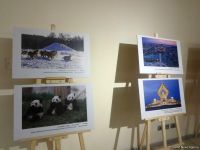 Китайские фонарики и чайная церемония. Как в Баку наступила весна (ВИДЕО, ФОТО)