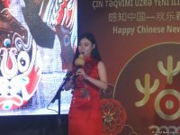 Китайские фонарики и чайная церемония. Как в Баку наступила весна (ВИДЕО, ФОТО)