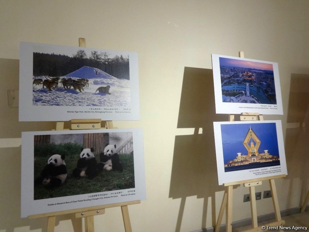 Китайские фонарики и чайная церемония. Как в Баку наступила весна (ВИДЕО, ФОТО)