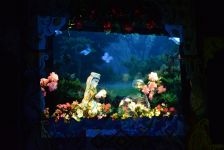 "Семь гранатовых веток"  - первая премьера в новом году (ФОТО)