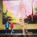 Азербайджанская команда "Как по маслу" вновь с успехом выступает в украинской "Лиге Смеха" (ВИДЕО, ФОТО)