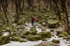 Фонд Гейдара Алиева подготавливает новые издания, посвященные Азербайджану (ФОТО)