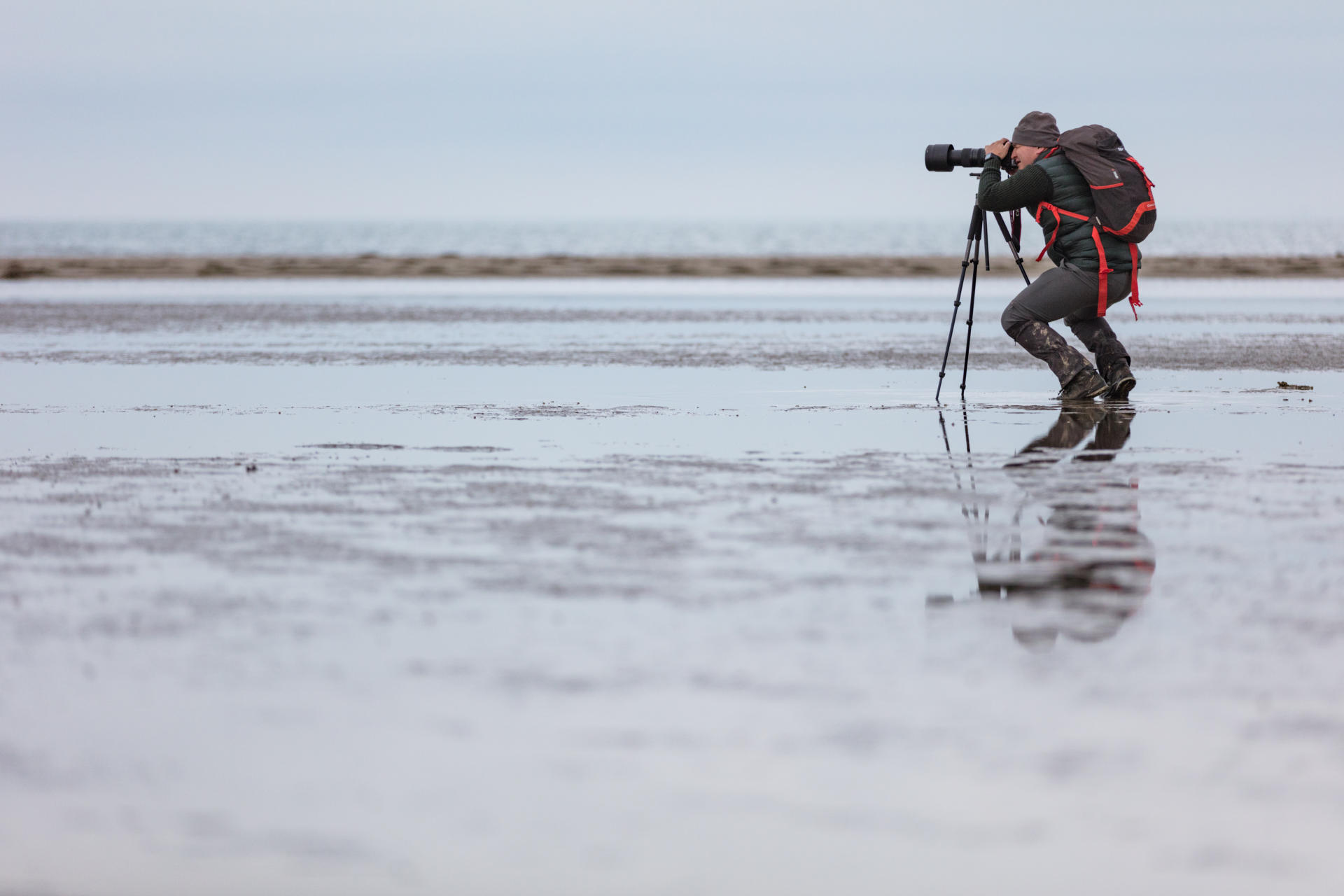 Фонд Гейдара Алиева подготавливает новые издания, посвященные Азербайджану (ФОТО)