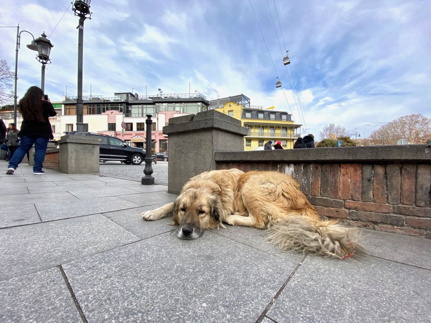 Путевые заметки о Грузии немолодого романтика из Азербайджана (ФОТО)