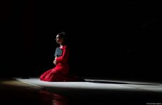 Как 17-летняя мексиканка попала в аварию и вновь родилась в Баку (ФОТО)