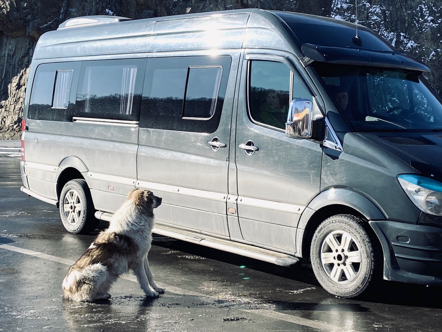 Доусон времен "золотой лихорадки" в Грузии - приключения фантаста из Азербайджана (ФОТО)