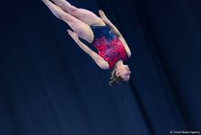 Лучшие моменты Кубка мира по прыжкам на батуте и акробатической дорожке в Баку (ФОТО)