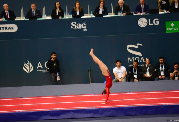 "Золото" на акробатической дорожке в рамках Кубка мира завоевала представительница России