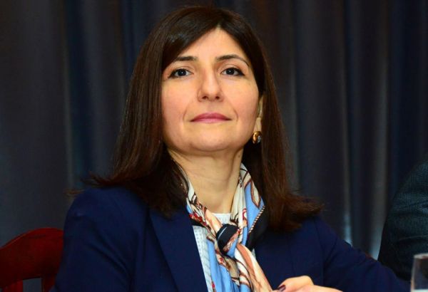 Депутат Севиль Микаилова оказала продовольственную помощь малообеспеченным семьям и одиноким лицам (ФOTO)