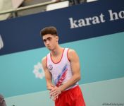 В Баку продолжаются финальные соревнования Кубка мира по прыжкам на батуте и акробатической дорожке (ФОТОРЕПОРТАЖ)