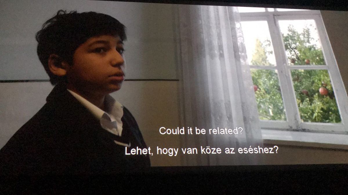 Pomegranate Orchard – из Азербайджана в Европу. Драма одной семьи (ВИДЕО, ФОТО)