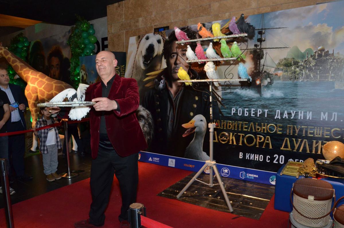 В Баку создали джунгли с цветными птицами (ВИДЕО, ФОТО)