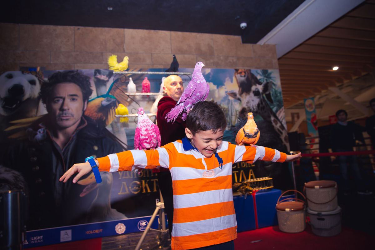 В Баку создали джунгли с цветными птицами (ВИДЕО, ФОТО)