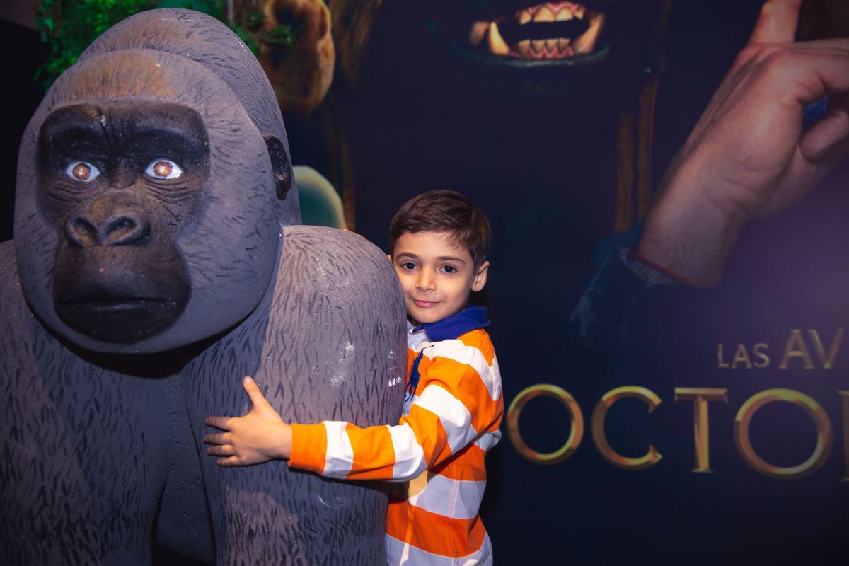 В Баку создали джунгли с цветными птицами (ВИДЕО, ФОТО)