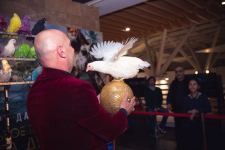 В Баку создали джунгли с цветными птицами (ВИДЕО, ФОТО)