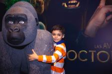 В Баку создали джунгли с цветными птицами (ВИДЕО, ФОТО)