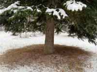 Чем удивила Грузия азербайджанцев? Наша бравая команда в одном из вагончиков (ФОТО)