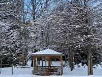 Чем удивила Грузия азербайджанцев? Наша бравая команда в одном из вагончиков (ФОТО)