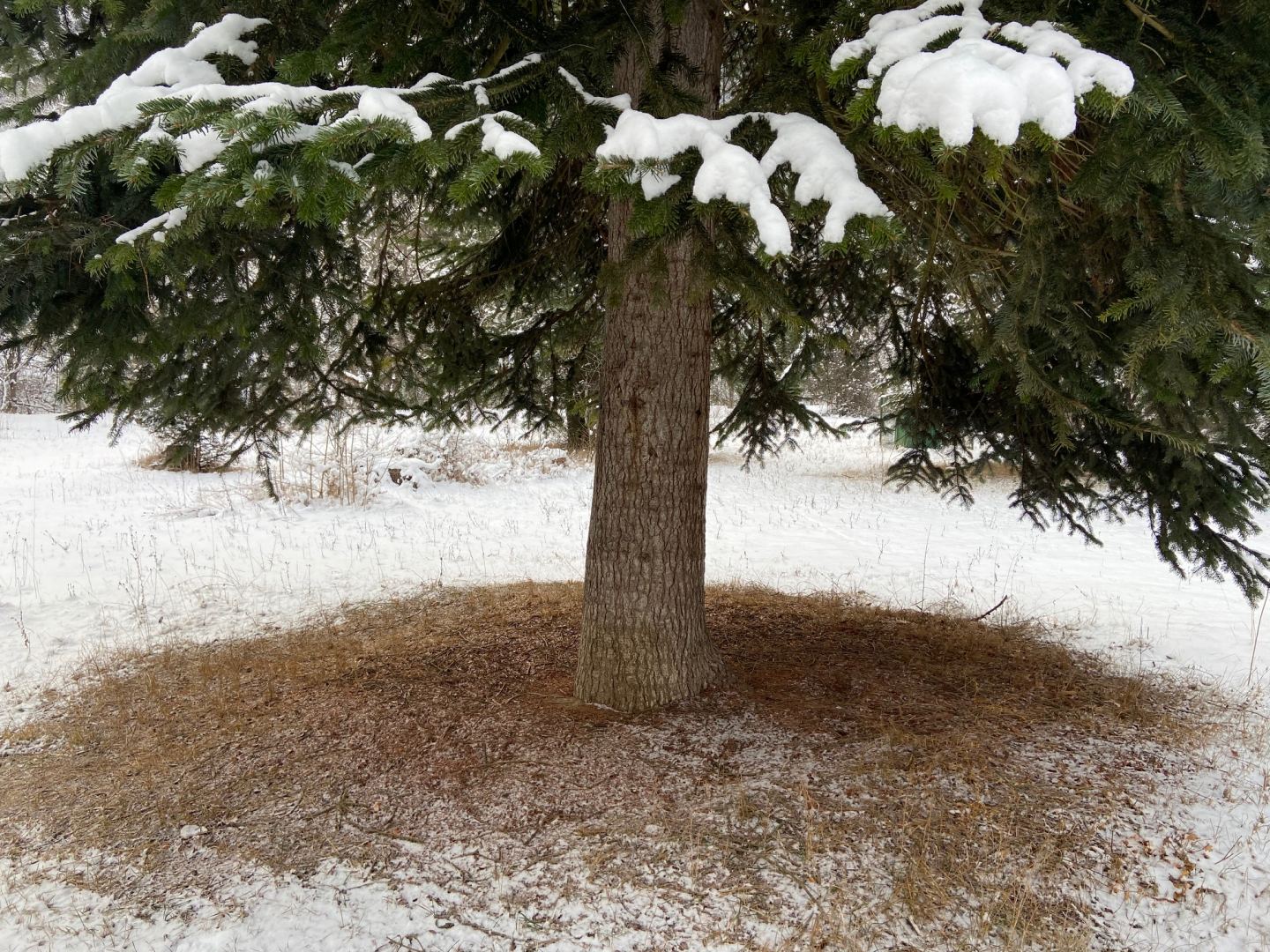 Чем удивила Грузия азербайджанцев? Наша бравая команда в одном из вагончиков (ФОТО)