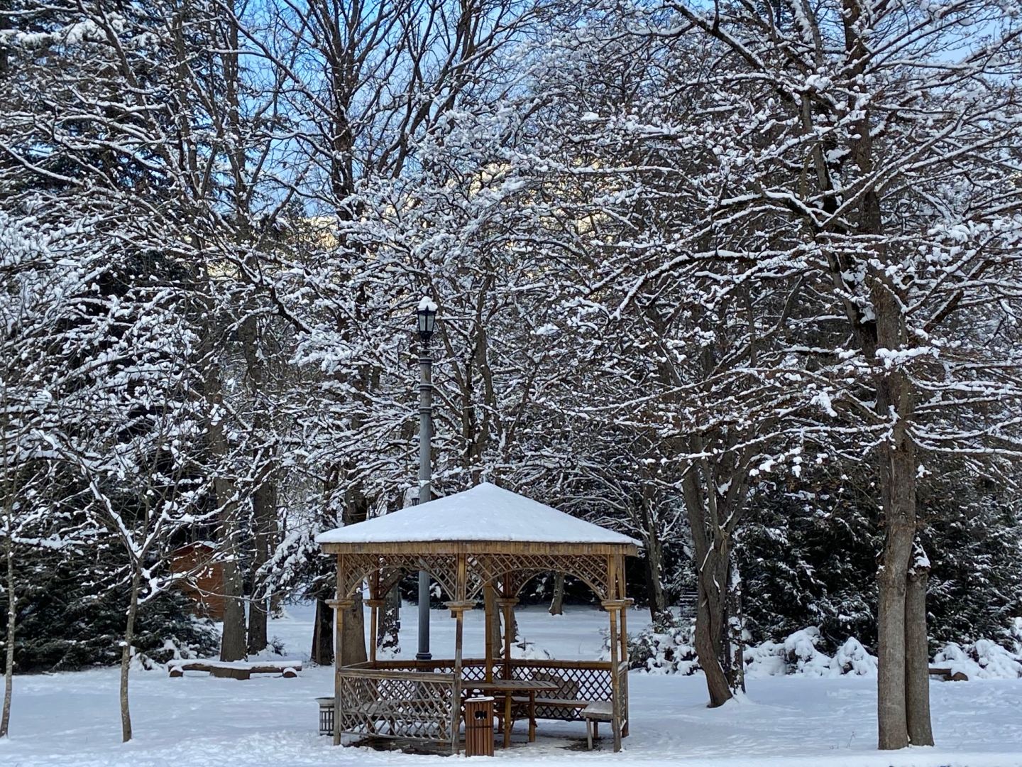 Чем удивила Грузия азербайджанцев? Наша бравая команда в одном из вагончиков (ФОТО)