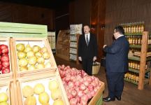 Президент Ильхам Алиев принял участие в открытии Агстафинского аграрнопромышленного комплекса (ФОТО) (версия 2)