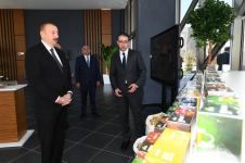 Президент Ильхам Алиев принял участие в открытии комплекса “ASAN Həyat” в Товузе (ФОТО) (версия 2)