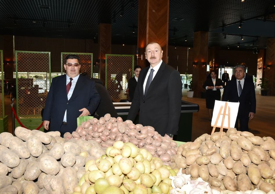 Президент Ильхам Алиев принял участие в открытии Агстафинского аграрнопромышленного комплекса (ФОТО) (версия 2)