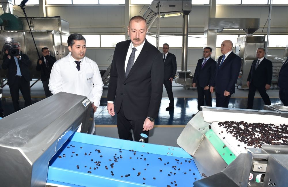 Президент Ильхам Алиев принял участие в открытии комплекса “ASAN Həyat” в Товузе (ФОТО) (версия 2)