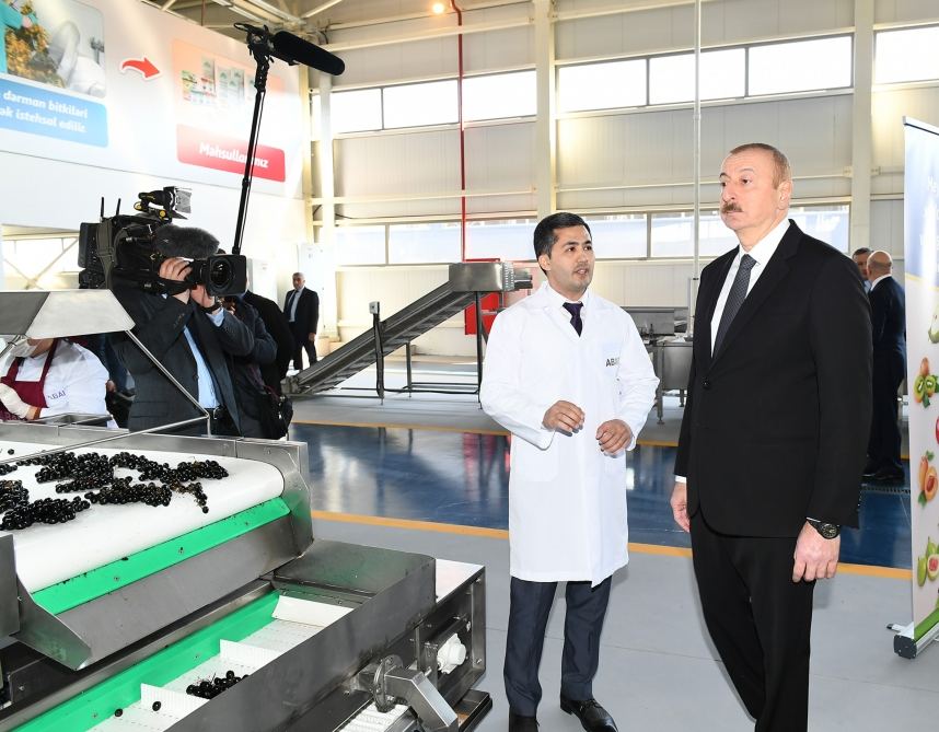 Президент Ильхам Алиев принял участие в открытии комплекса “ASAN Həyat” в Товузе (ФОТО) (версия 2)
