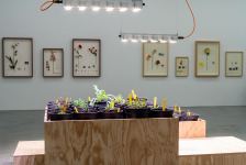 YARAT представляет в Швейцарии экспозиции на экологические темы (ФОТО)