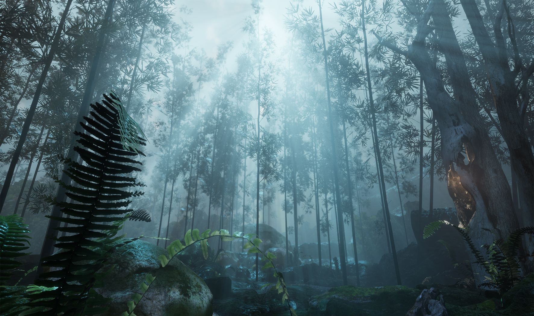 YARAT представляет в Швейцарии экспозиции на экологические темы (ФОТО)