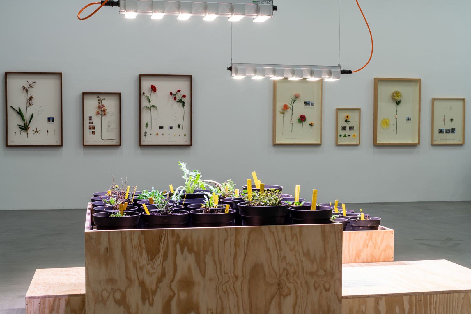 YARAT представляет в Швейцарии экспозиции на экологические темы (ФОТО)