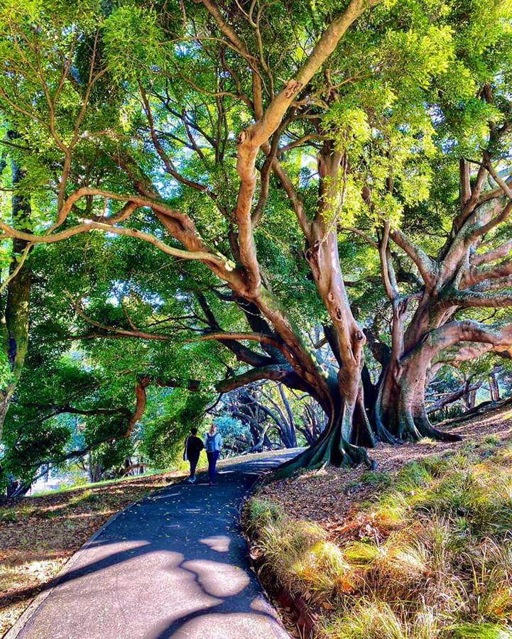 180-дневное кругосветное путешествие продолжается: Фарид Новрузи побывал в деревне хоббитов и не только (ФОТО)
