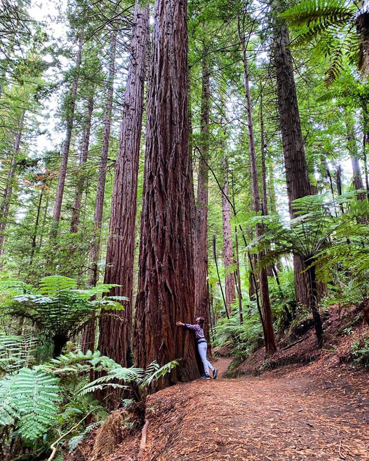 180-дневное кругосветное путешествие продолжается: Фарид Новрузи побывал в деревне хоббитов и не только (ФОТО)
