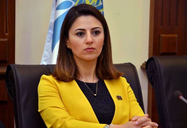 Севиндж Фаталиева: Азербайджан ответственно относится к своей роли надежного транзитно-логистического хаба  между Турцией и Центральной Азией