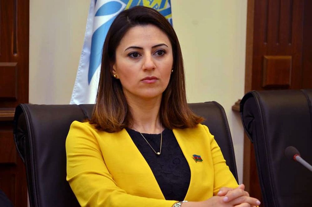 Севиндж Фаталиева: Азербайджан ответственно относится к своей роли надежного транзитно-логистического хаба  между Турцией и Центральной Азией