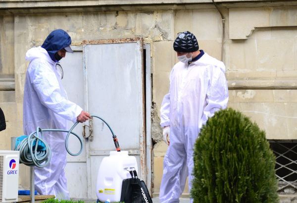 В действиях правительства Азербайджана виден продуманный, рациональный  и пронизанный заботой о людях подход — зарубежные эксперты