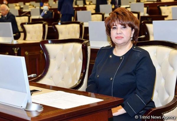 Пашинян не должен забывать, что "Железный кулак" всегда на месте - депутат