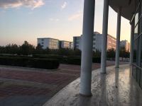 Она прилетела на Северный Кипр дней на 40, а осталась… – как коронавирус повлиял на творчество Асмер Нариманбековой (ФОТО, ВИДЕО)