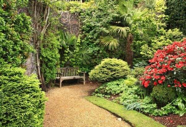 В азербайджанском саду… Оно нежней твоих красивых кос? (ВИДЕО)