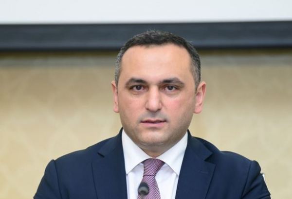 Вакцина, используемая в Азербайджане, также эффективна против нового штамма COVID-19 - Рамин Байрамлы