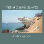 Безмятежная тишина и яркие блики солнца – виртуальный дачный сезон в Азербайджане (ФОТО)