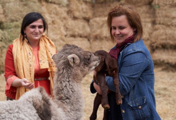 Забавные кадры из зоопарка заповедника "Гала"! Во время карантина произошло пополнение (ФОТО)