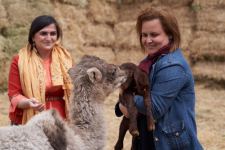 Забавные кадры из зоопарка заповедника "Гала"! Во время карантина произошло пополнение (ФОТО)