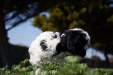 Забавные кадры из зоопарка заповедника "Гала"! Во время карантина произошло пополнение (ФОТО)