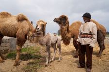 Забавные кадры из зоопарка заповедника "Гала"! Во время карантина произошло пополнение (ФОТО)