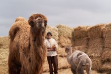 Забавные кадры из зоопарка заповедника "Гала"! Во время карантина произошло пополнение (ФОТО)