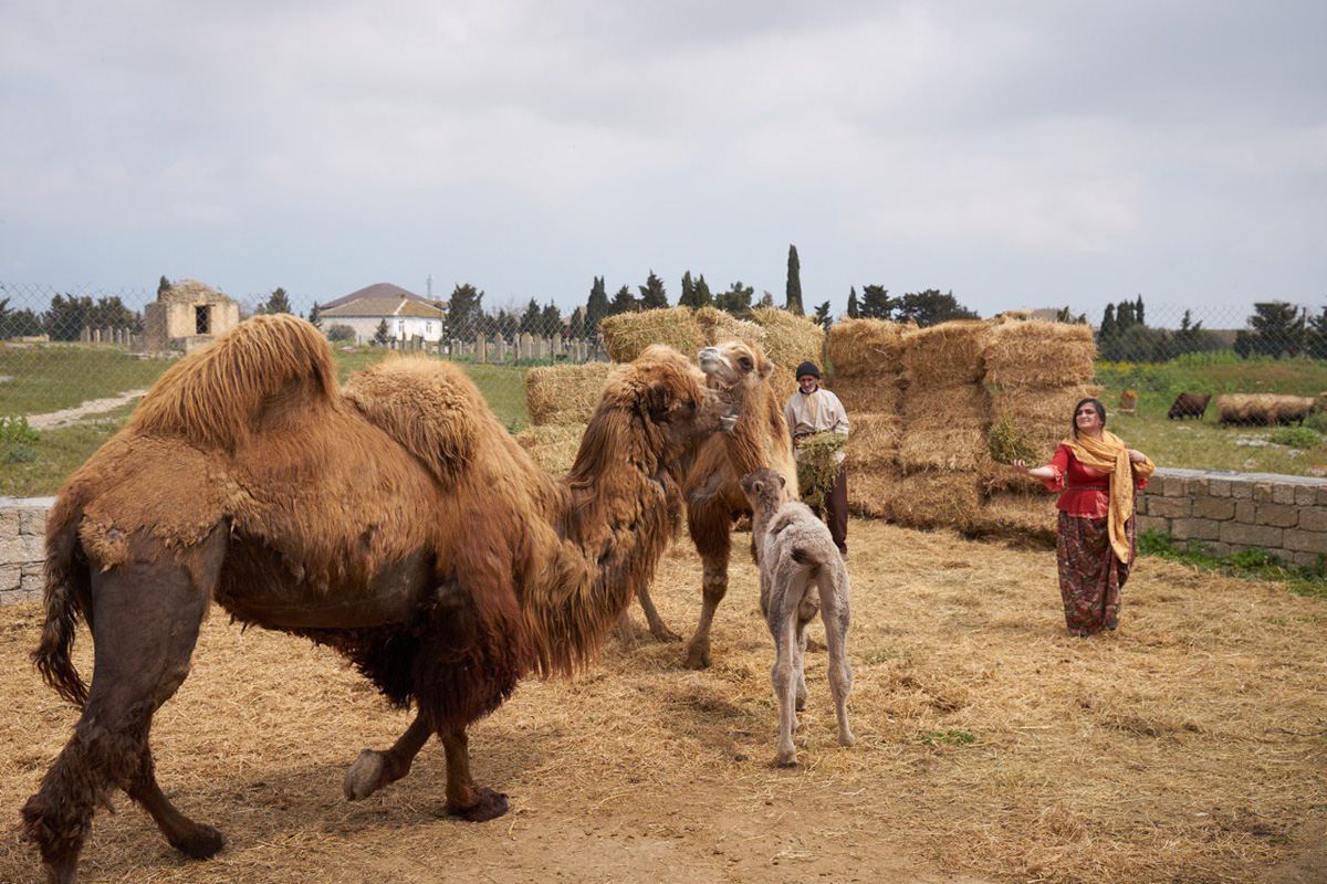 Забавные кадры из зоопарка заповедника "Гала"! Во время карантина произошло пополнение (ФОТО)